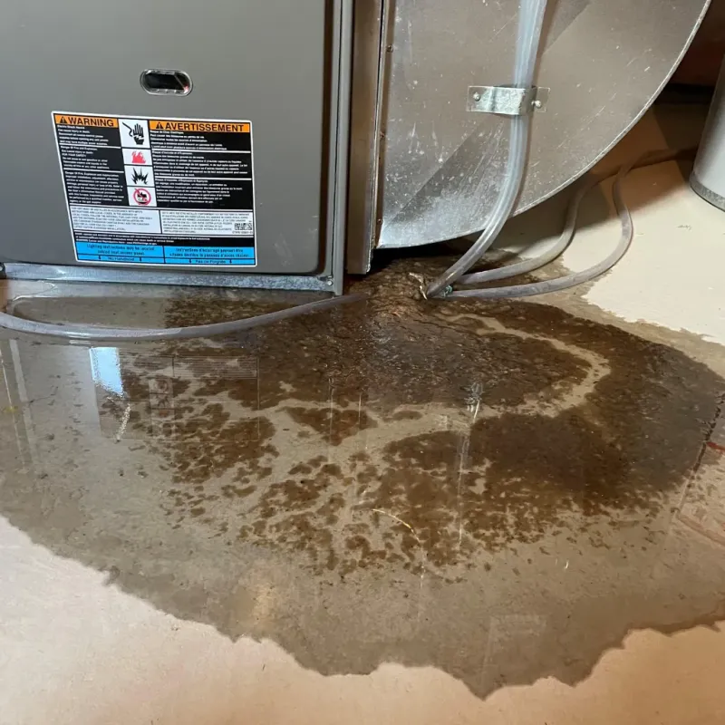 Appliance Leak Cleanup in Hazen, ND