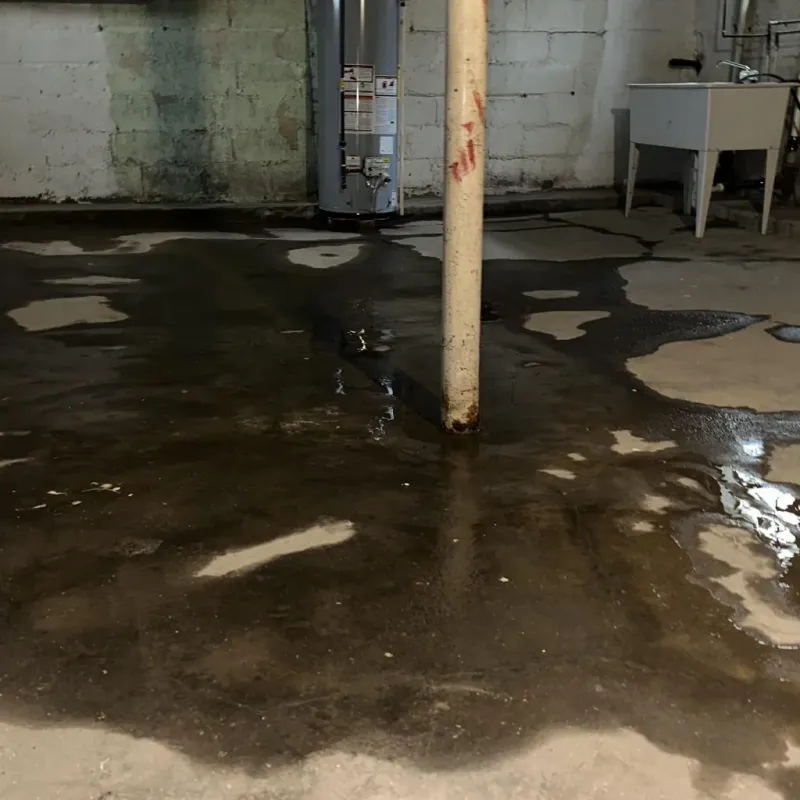 Emergency Water Extraction And Removal in Hazen, ND